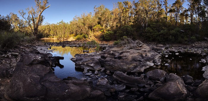 The Murray River in the forest at Dwellingup, Western Australia The Murray River at sunset in the forest at Dwellingup, Western Australia