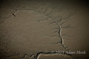Roebuck Bay in Broome from the air