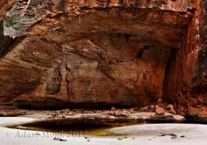 Cathedral Gorge detail, Bungle Bungle Ranges, Purnululu National Park. Kimberley WA