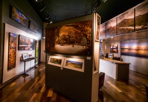 Monk Art Photography Gallery