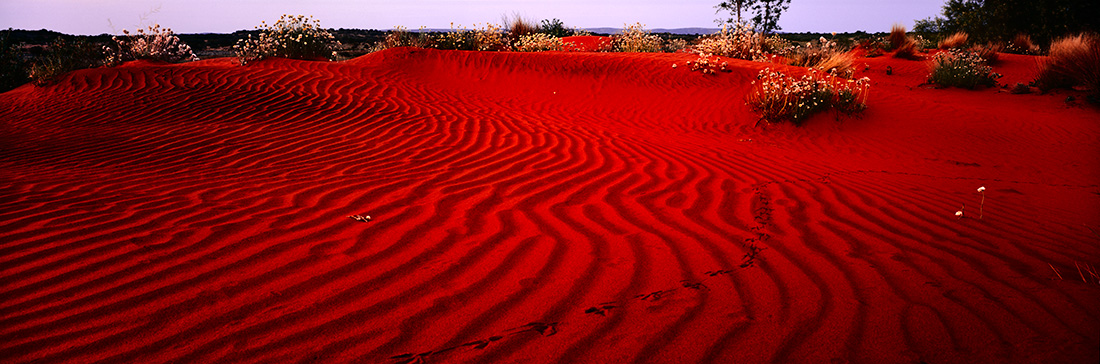 australia red desert