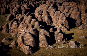 Beehive formations of the Bungle Bungles from the air. Purnululu Natiuonal Park, Kimberley WA
