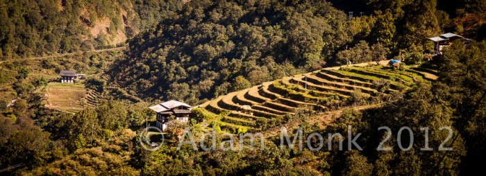 Rice field landscape of Bhutan.  Bhutan Photo tour with Adam monk