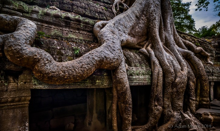 Cambodia Ancient Temples Photo Workshop with Adam Monk