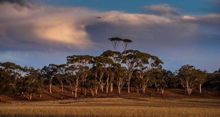 WAPF Quairading Photographic weekend
