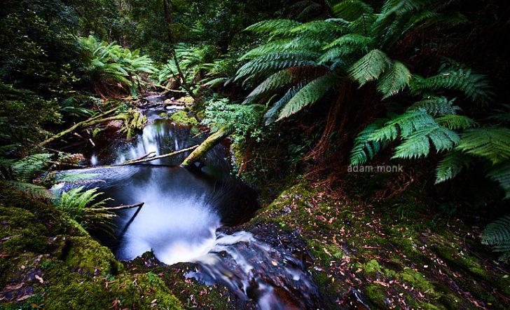Tasmania Photo Tour with Adam Monk-07