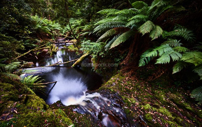 Tasmanian Photo tour-10