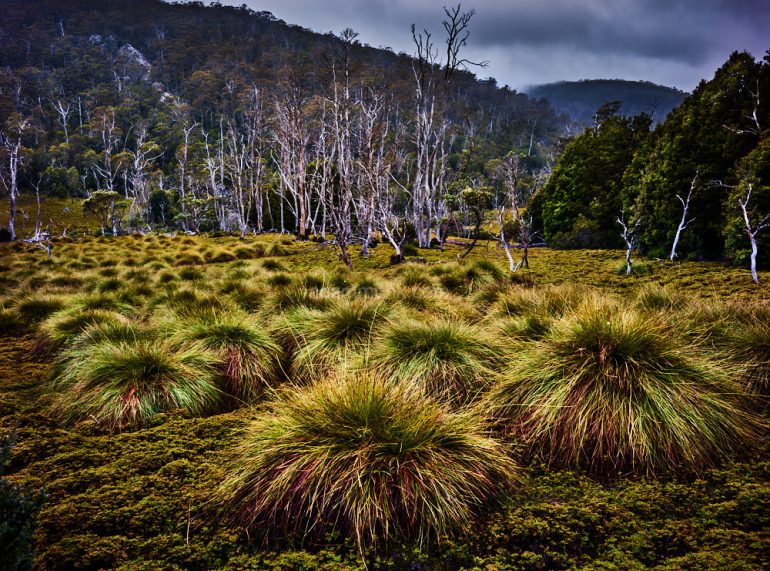 Tasmanian Photo tour-12