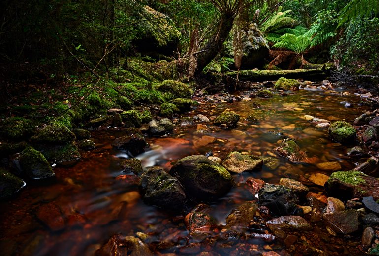 Tasmania Photo Tour, Corinna secret spot
