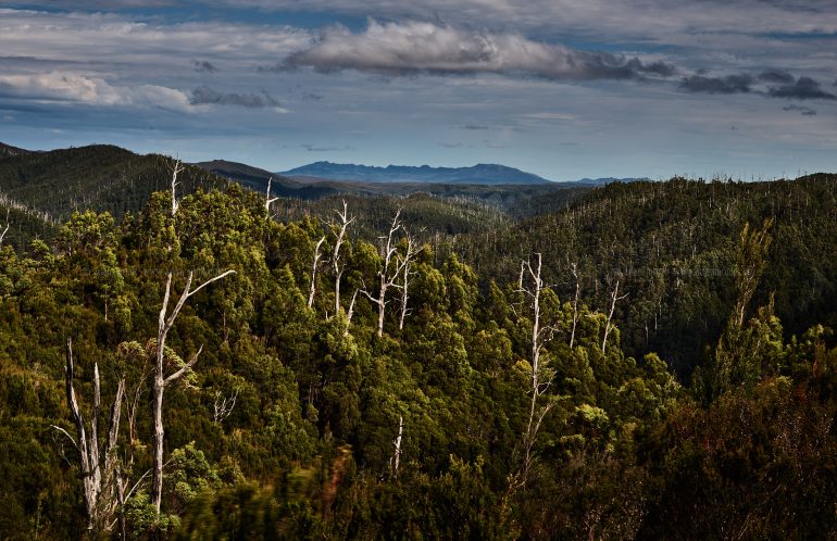 Tasmania Photo Tour
