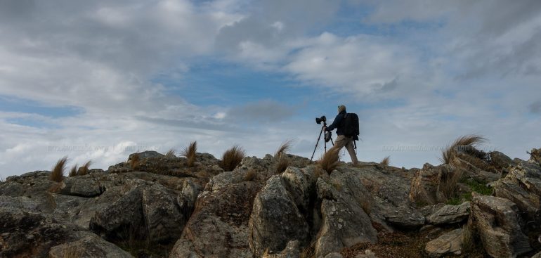 Tasmania Photo Tour