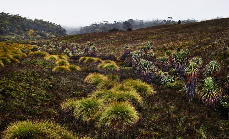 Tasmania Photo Tour Cradle mountain National Park