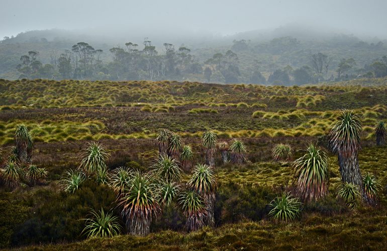 Tasmania Photo Tour Cradle mountain National Park