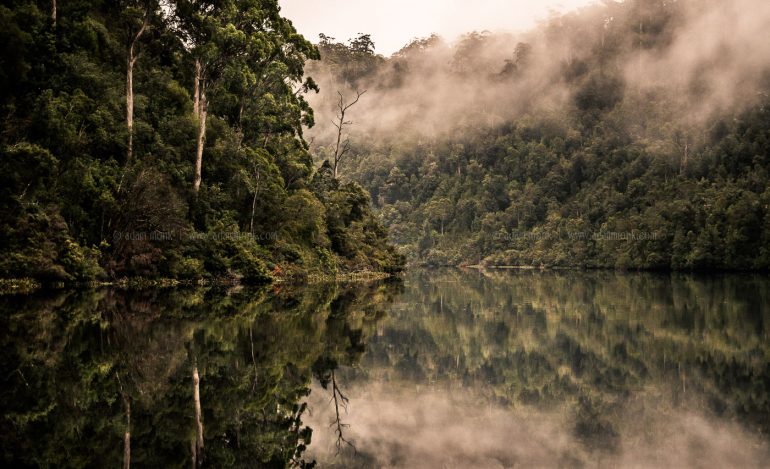 Tasmania Photo Tour, Pieman River and Tarkine Wilderness
