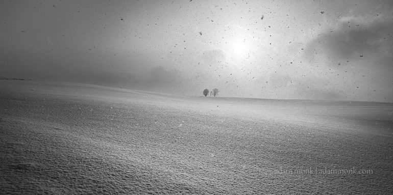 Japan winter snowfall shot into the light.