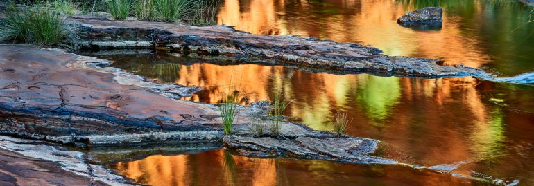Kalamina Gorge reflections, early morning, Karijini National Park. Adam Monk Photo tour of Karijini