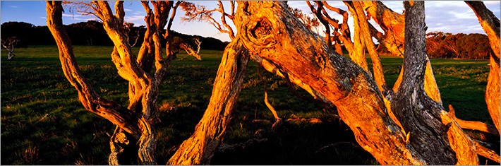 Adam Monk is a West Australian Landscape photographer