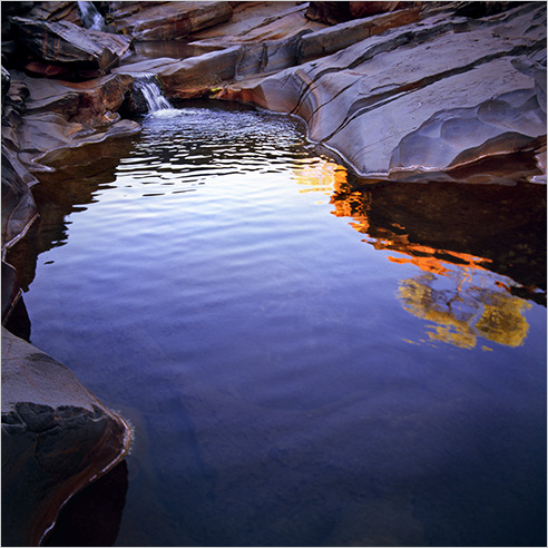 Adam Monk is a West Australian Landscape photographer